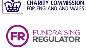 Fundraising & Sector Guidance